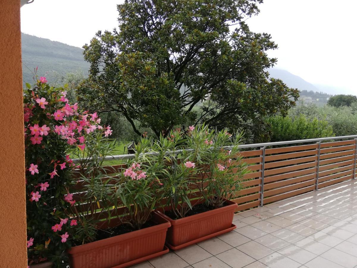 Appartamento La Terrazza ริวาเดลการ์ดา ภายนอก รูปภาพ